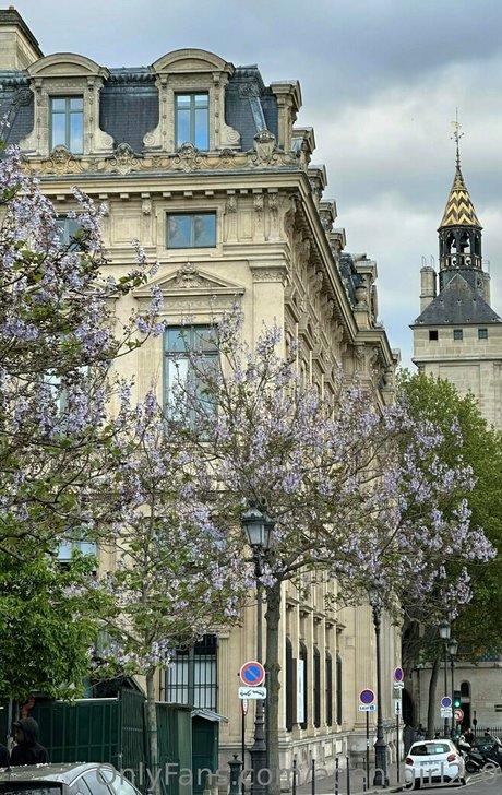 agentgirl2 0 étoile parfaite archive