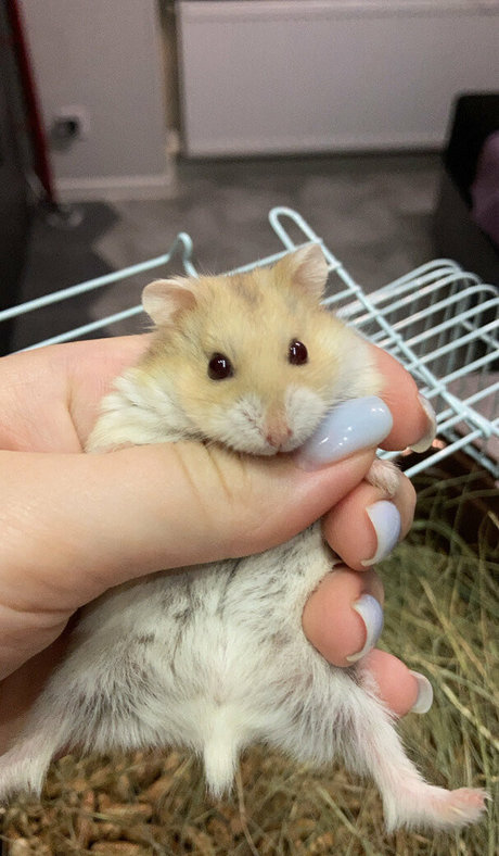 moon less actrice porno galerie