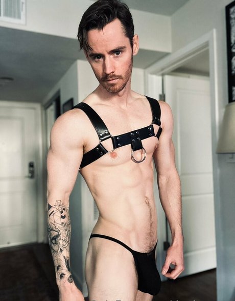 danbenson top star galerie