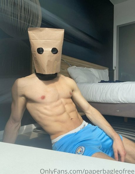 paperbagfree modèle sympa galerie