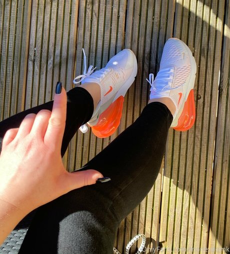 moneydomk meilleur modèle des photos