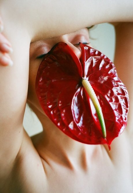 Kate Ri actriz de alta definición foto