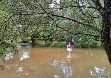 elliezena free estrella del arte recopilación