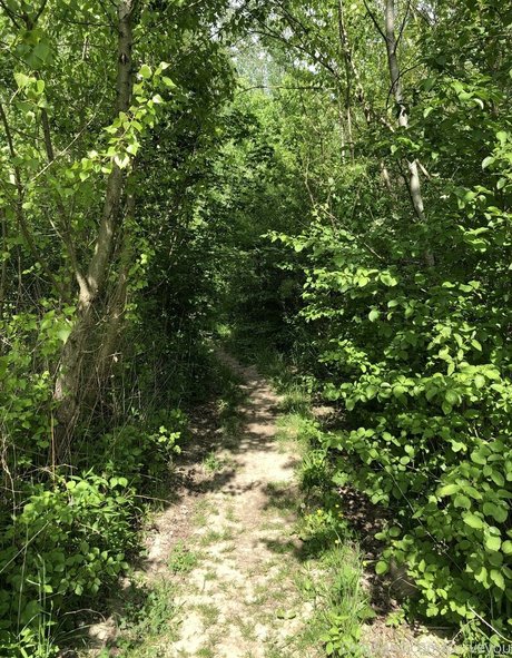 femdomyou estrella hermosa galerías