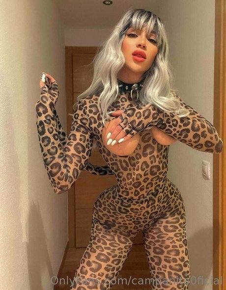 campanita0ficial star du porno hd collection