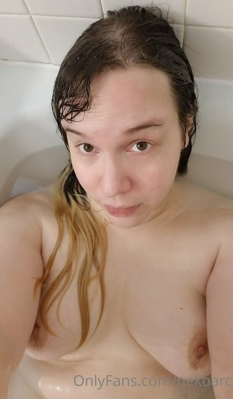 nekoarc nus étoiles galeries