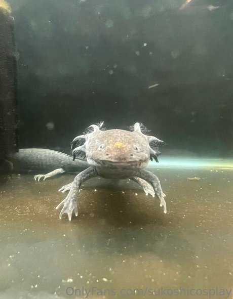 sukoshicosplay actriz caliente fotos