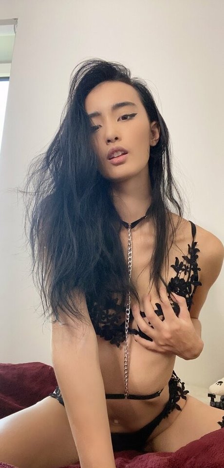 Tayszea modèle de haute qualité galerie