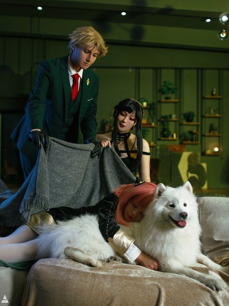 visagefox estrella de alta definición fotos