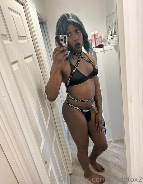 jaydefox2 étoile sympa galerie