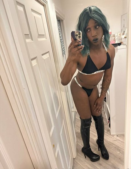 jaydefox2 étoile nue galeries