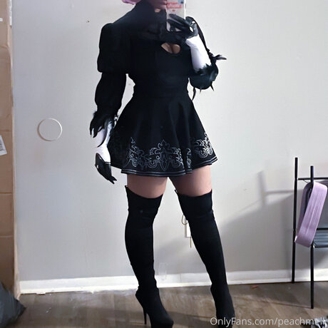 _xs FREE_ étoile gratuite photo