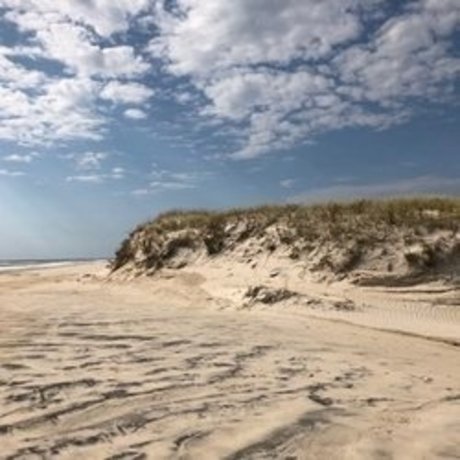 beach bum 102019 hd model pictures