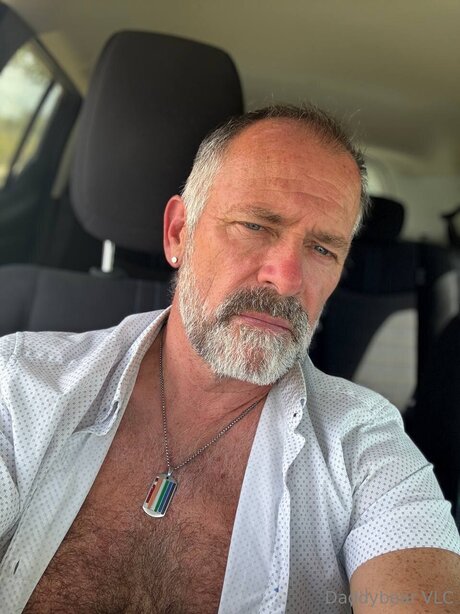 Daddy bear model exclusive picture