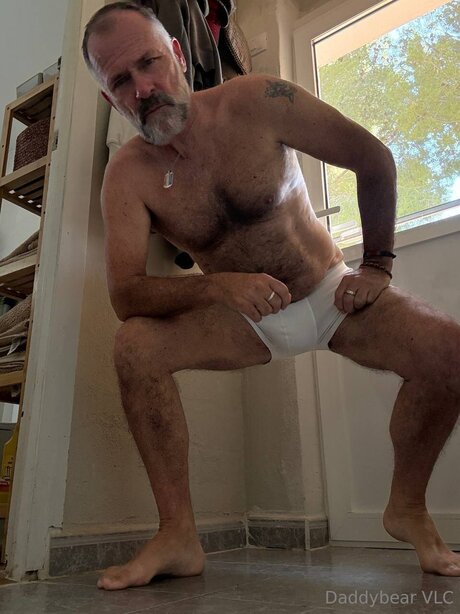 Daddy bear estrella perfecta recopilación