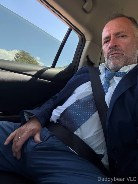 Daddy bear free model img
