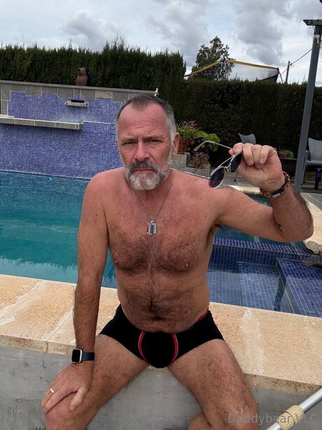 Daddy bear modelo libre imagen