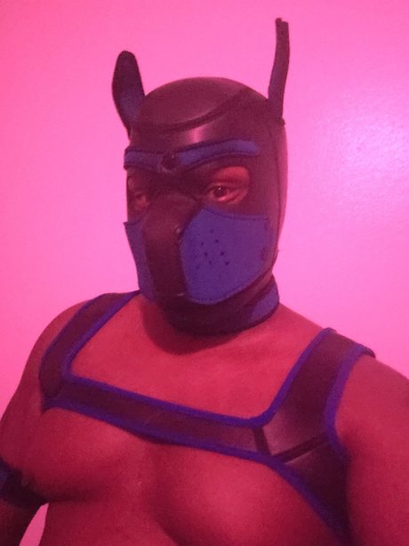 Shadow Pup star top photos