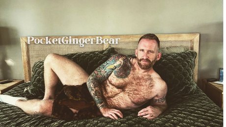 PocketGingerBear pretty star gallery