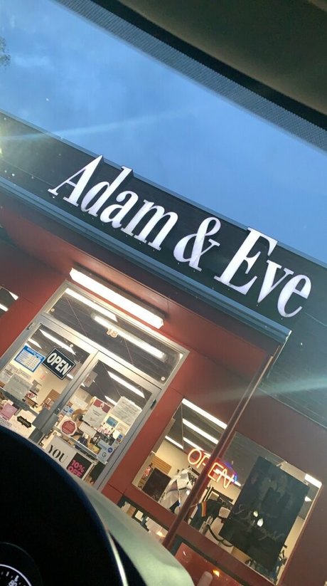 bbwqueeeen étoile galeries