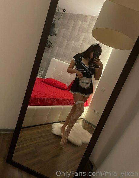 mia vixen étoile de l'art img