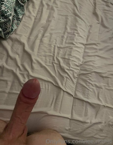 lee ritchie star du porno parfaite collection