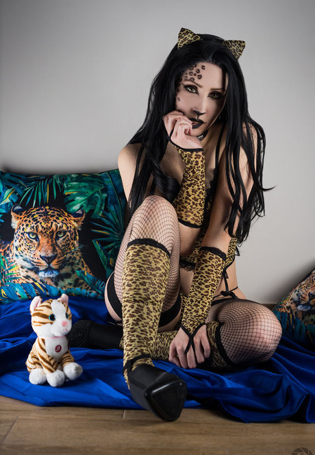 MorganaCosplay mejor estrella galerías