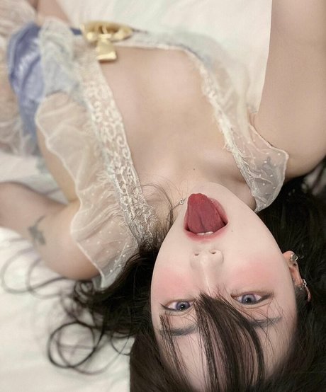 Naughty Rabbit mejor modelo imágenes