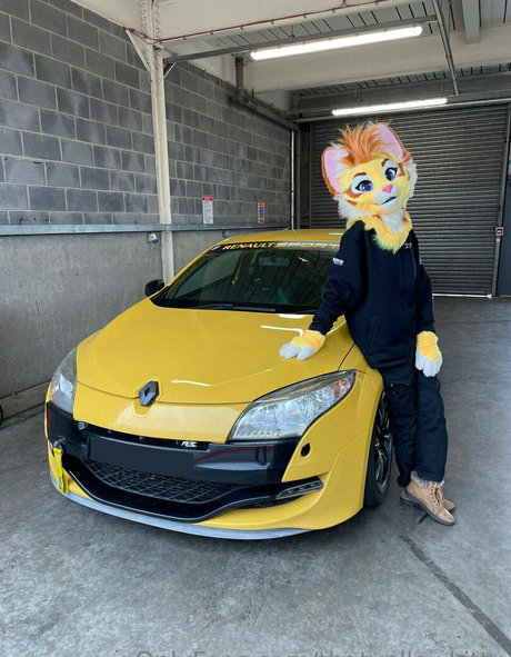 thatyellowkitty model best img