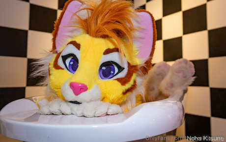 thatyellowkitty pornstar adult gallery