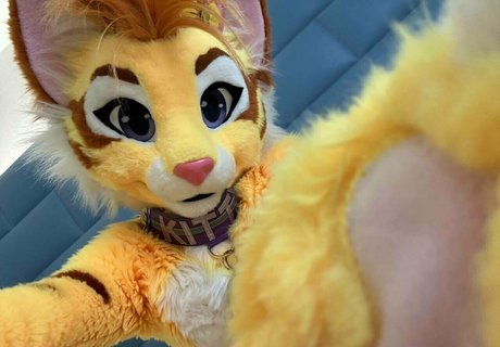 thatyellowkitty star best photos