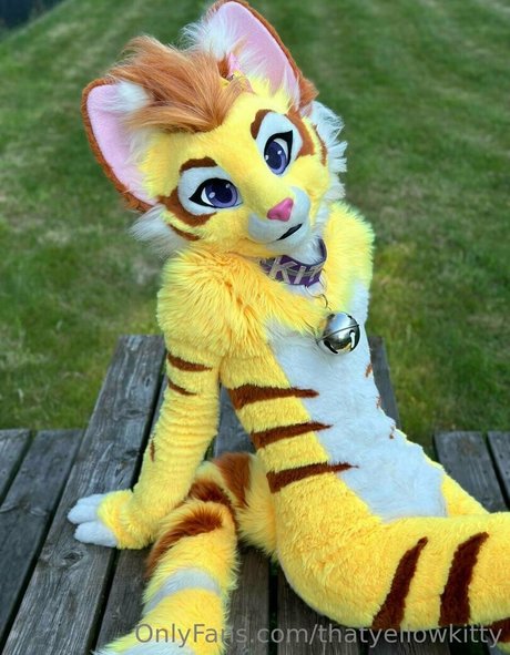 thatyellowkitty model pornographic pics