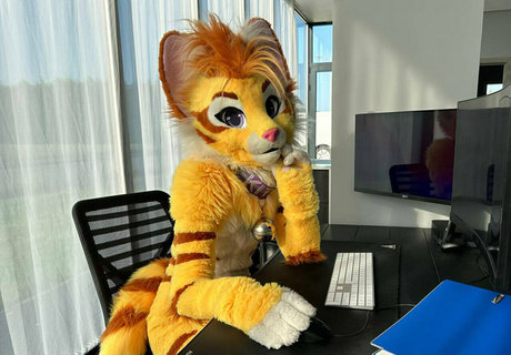 thatyellowkitty top star img