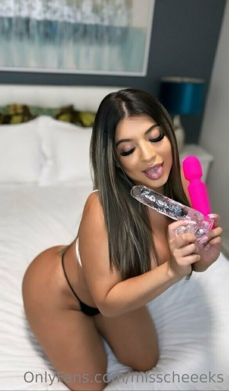 misscheeeks star du porno érotique collection