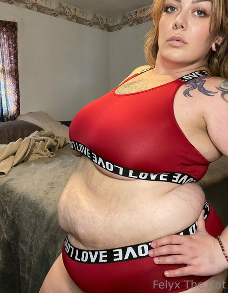 felyxfree nus étoiles image