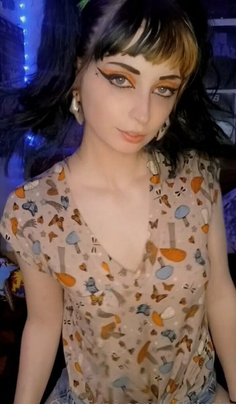 kittvixsin meilleur modèle images