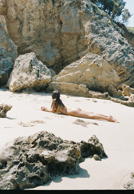 Tal Adar estrella porno de arte recopilación