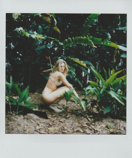 Jemima Robinson estrella agradable galería