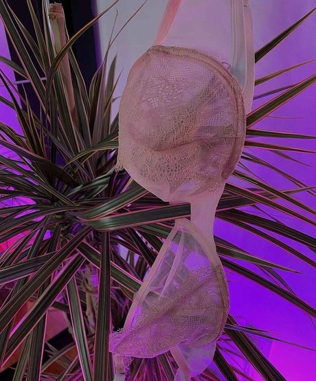 yammypie actriz adulta imagen