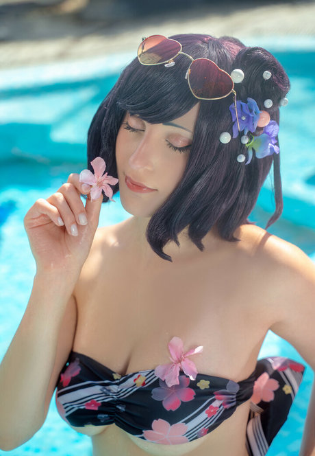 Elycoris estrella perfecta imagen