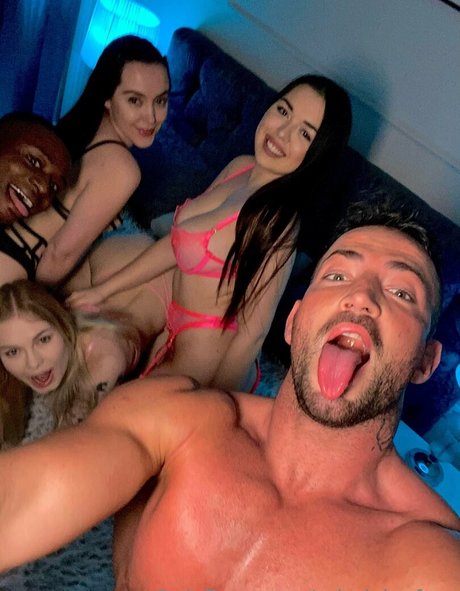 mimicicafree estrella de alta calidad galerías