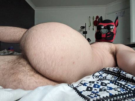 Pup Benji pornstar erotic galleries