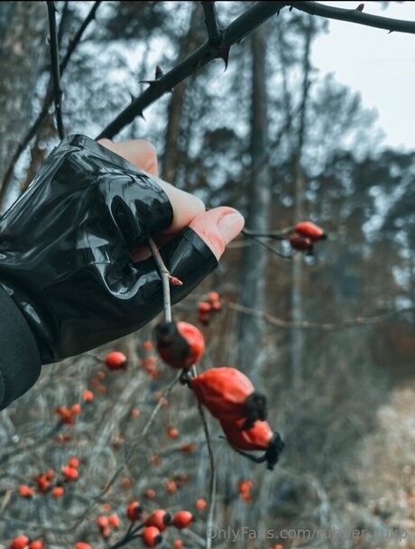 rubber tulip pornstar exclusive img