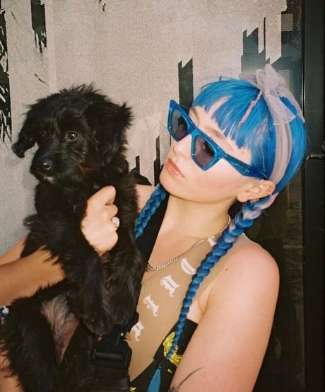 Ashnikko modelo adulto fotos