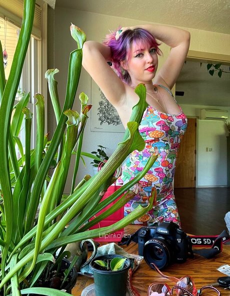 lilpinkalien actriz libre fotos