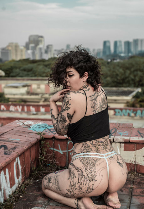 julh4 free star high quality photos