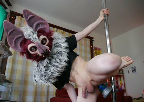 noodlybat estrella libre imagen