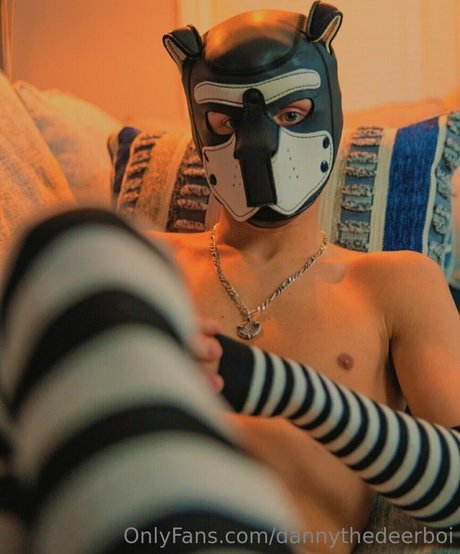 dannythedeerboi nude actress pic