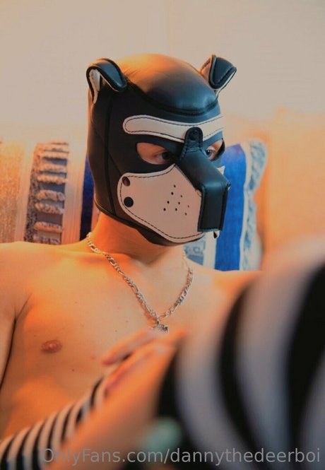 dannythedeerboi naked pornstar photo