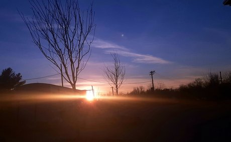 princesse chatte onlyfans gratuit belle archive